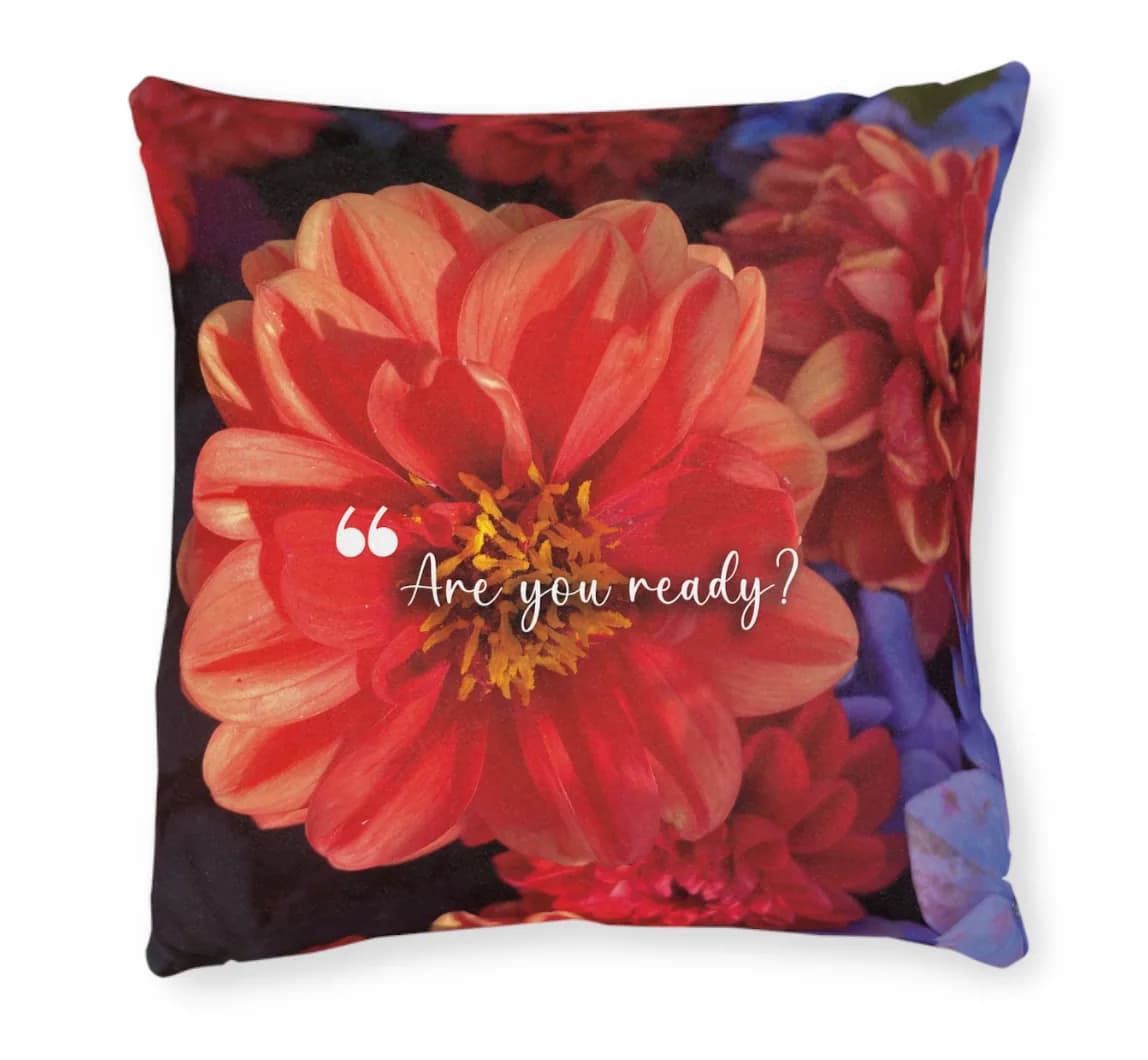 Threshold Pillow