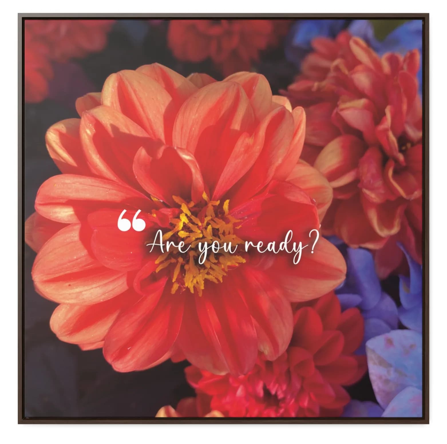 Recovery Quote by Elena